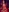 Juicy_Lucy's photo
