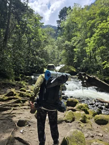 TigerStripes1_Nature Bild