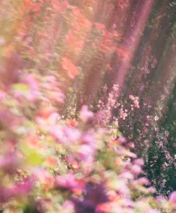 Yua-channel_のeveryday lifeの 4枚の写真