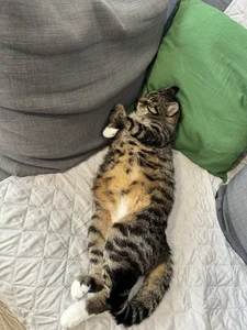 your_soul_Anna My soul - , tip for his snacks if u like him ) Pic 7