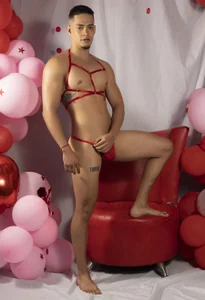 ElianFoxter LOVE AND FRIENDSHIP Immagine  2