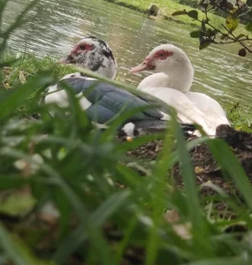 luisianacoxx 🦋 Foto 3