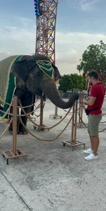 Promethe_us kullanıcısının Travel life albümü -  7 fotoğraf