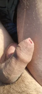 Luxurito Webo รูป  5