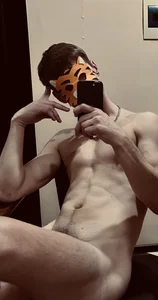 SirVDD Public Immagine 