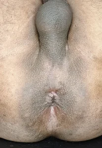 Ass Hole CloseUp de VibeMeBB Foto