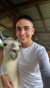 Latinflamex Public Pic