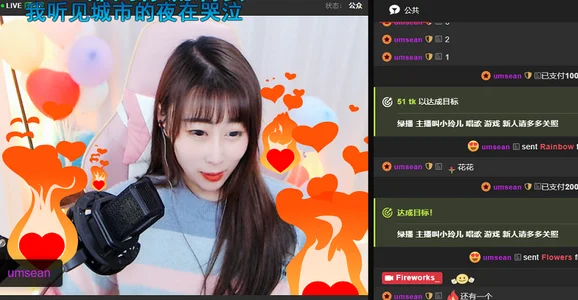 Fireworks_ Public Pic 3