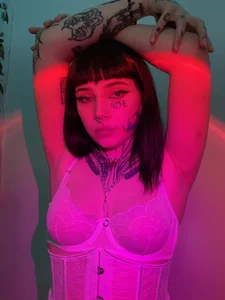 DianaProject Public Pic 3