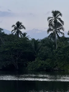 Annycolin_のPalomino - Colombia 🇨🇴の 6枚の写真