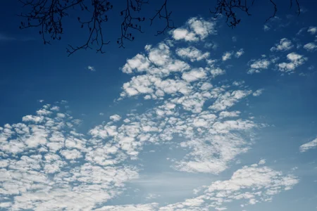 ClaraMigger@xh: Public ( 5 фото)