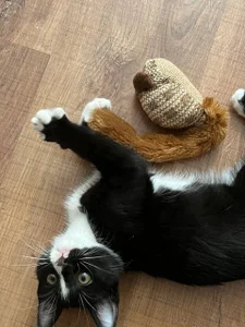 alicefloww Quiet company Poză 8