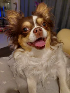 Divinna ❤️ MY BEST FRIENDS ❤️AKIK MINDÍG BELEUGATNAK AZ ÉLŐBE ❤️ Bilde 7