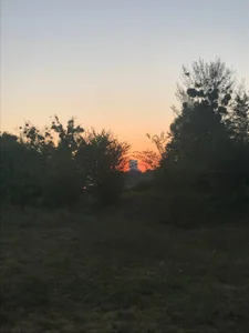 luna_berryy beauty is in the details 💖 Pic