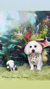 Scarlett-Dream My Best Friend Pic 9