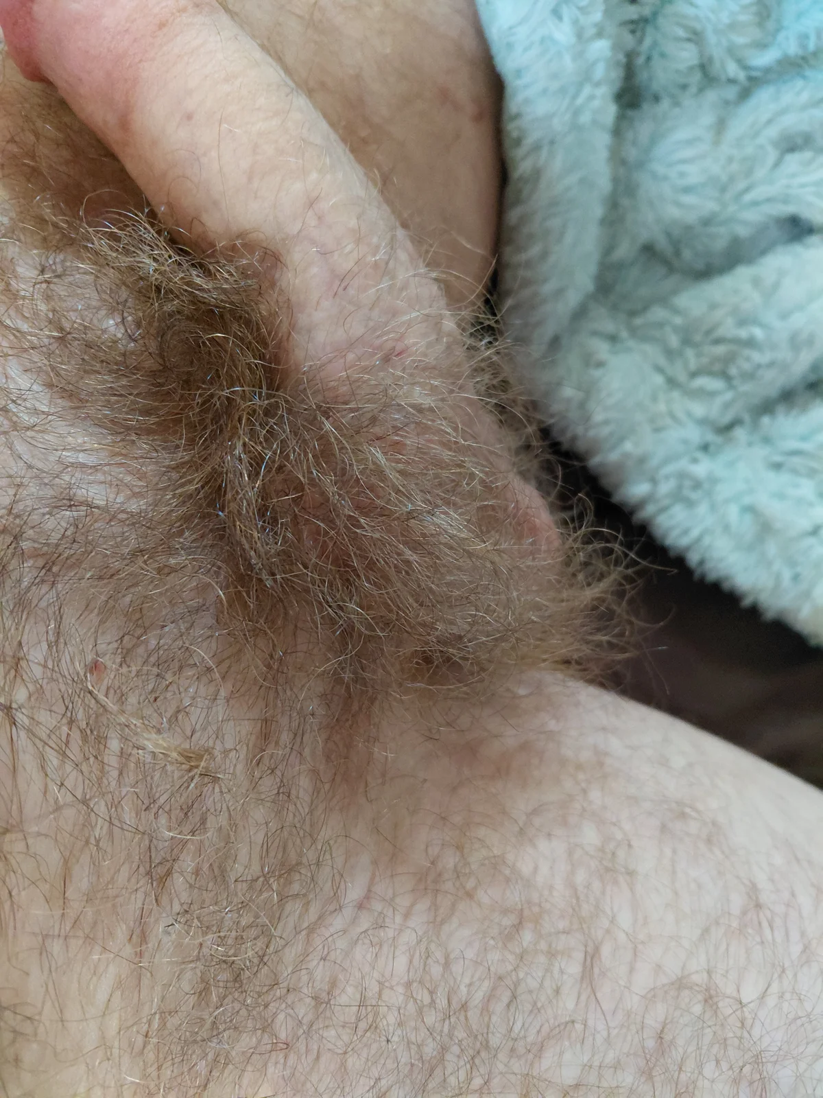 Adam_Phoenix 熱門圖片 8886