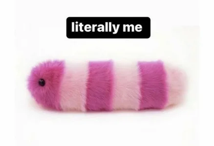 VanceRyder Public 사진