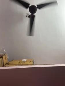 Public de Sonalidas3443 Foto 2