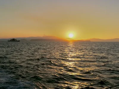 Public de julioelpapacito  2 Imagens