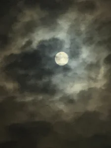 Girolamo97のMeeの 2枚の写真