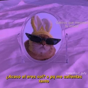 incognimeow MEME MEOW Foto 4