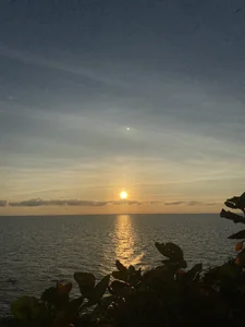 Blondylicious sc :) Pic