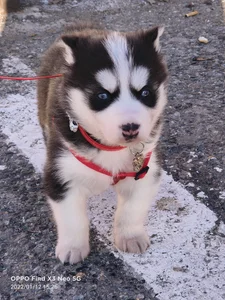 AnastasiaAniess ❤️welcome to the dysfunctional family LEYLA ❤️ Foto 3