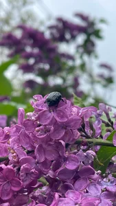 nature od your_new_boyfriend1  snímek