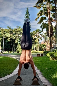 AndrewDiaz Calistenia Εικόνα