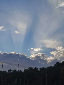 OnceaCricketer Public รูป  3