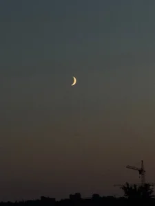 nikole_kitt its very beautiful😍😎 Pic