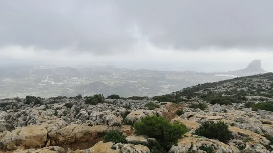 mirrowhot Yo Immagine  5