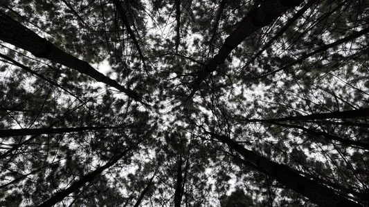 Roxana69obreronPublic Bild 2