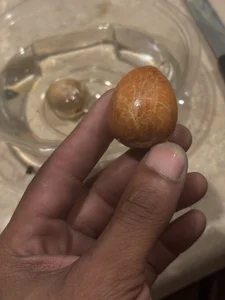 ThrowedWorldWide Public Bilde