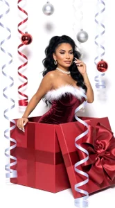 Denise_Taylor kullanıcısının Ready for Christmas and new year ? albümü -  7 fotoğraf