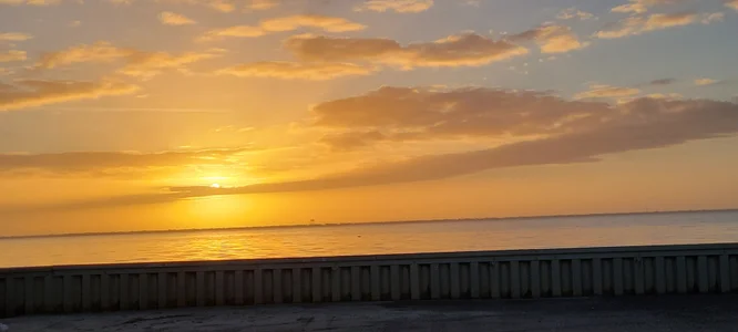 Scorpion_xx Public зображення 6