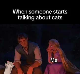 Catleya 02 - Cts od MissCat143  4 snímek