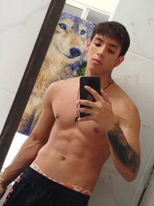 Wolf_light Public Εικόνα 6