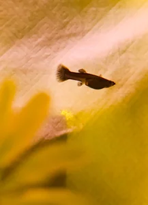 anaroman01 A house full of life and love ❤️ صورة واحدة|anaroman01 A house full of life and love ❤️ صورتان|anaroman01 A house full of life and love ❤️  5 صور|anaroman01 A house full of life and love ❤️  5 صورة