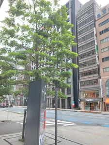 SuaveRod Public Gambar 3