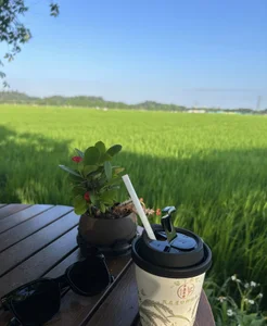 summer-001 👣 Poză