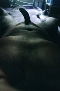 karandeep_Bhagat Public Hình