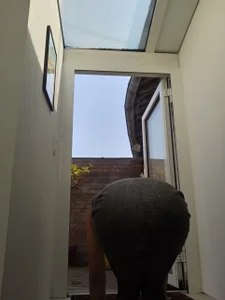 Transvirginie Pour ceux qui aiment les collant зображення