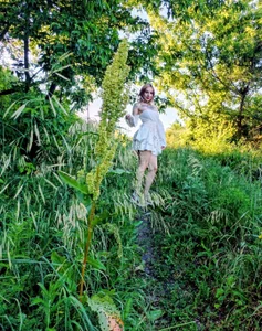 Zdjęcia AssolSoul Sex in the forest:  8