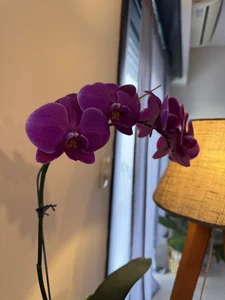 Public od Ory_stev  snímek