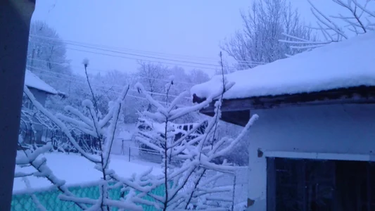 ExquisiteMature Winter Sun Poză 9