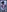 Black-hot-girl's photo