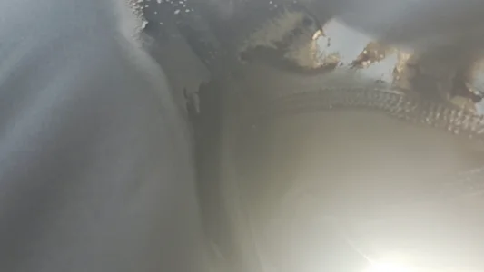 November 25 od Cheryl_F  5 snímek