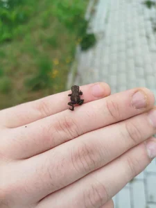 kulisek356 My Foto 2