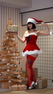 Sexy Santa od Danacougar  8 snímek